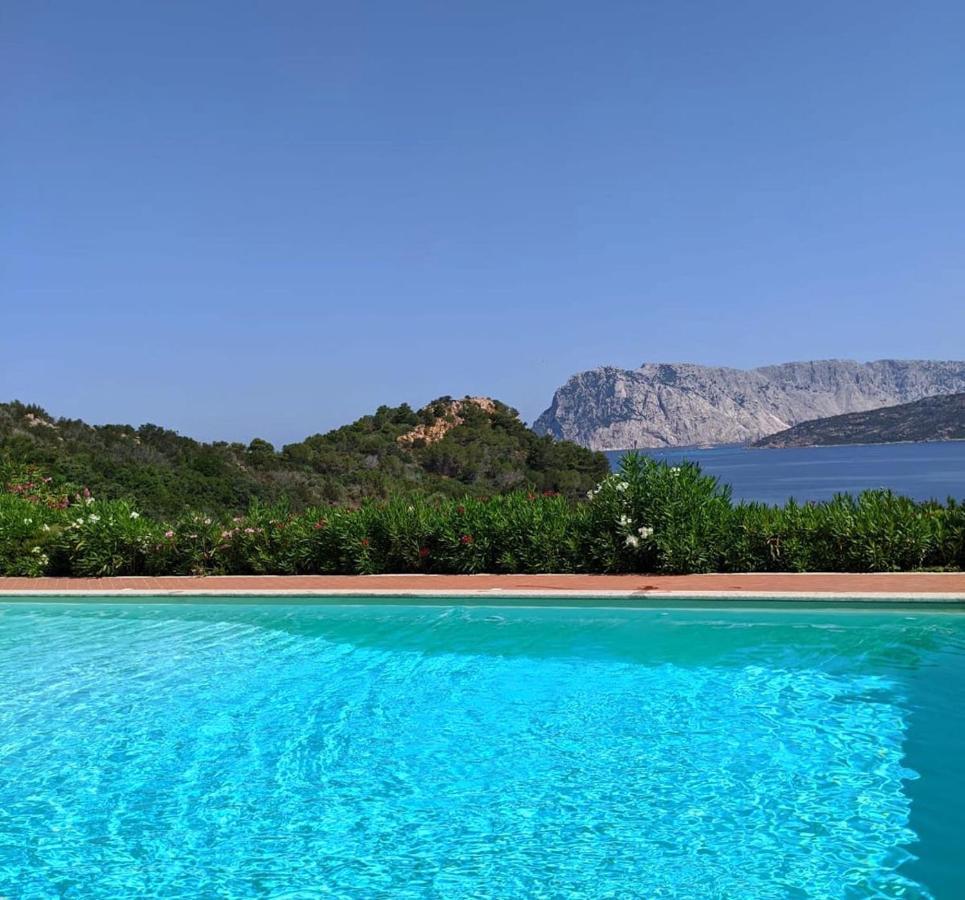 San Teodoro Punta Est Curatissimo Bilocale Apartment กาโป โกดา กาวัลโล ภายนอก รูปภาพ